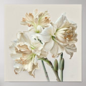 Poster d'impression en blanc Amaryllis Flower Art (Devant)