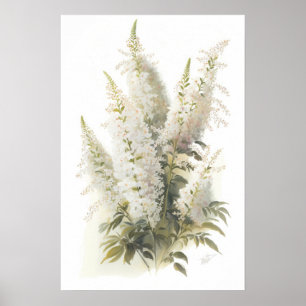 Poster d'impression en blanc Astilbe Flower Art