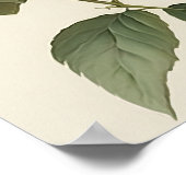 Poster d'impression en blanc Dahlias (Coin)