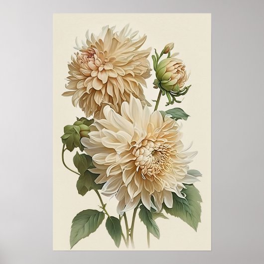 Poster d'impression en blanc Dahlias (Devant)