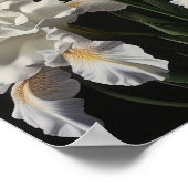 Poster d'impression en blanc Irises (Coin)