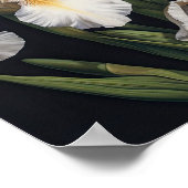 Poster d'impression en blanc Irises (Coin)