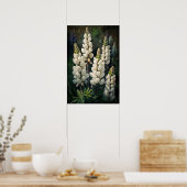 Poster d'impression en blanc Lupine Flower Art (Cuisine)