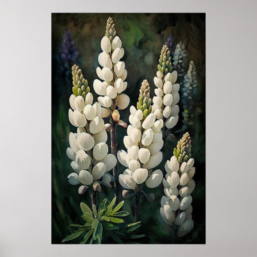 Poster d'impression en blanc Lupine Flower Art (Devant)