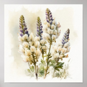 Poster d'impression en blanc Lupine Flower Art