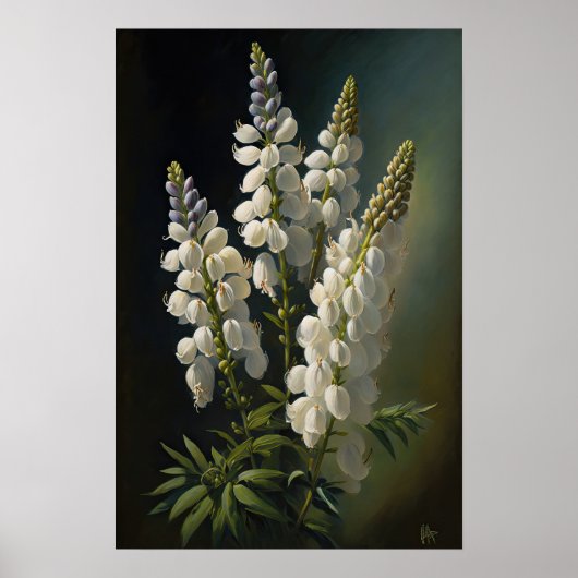 Poster d'impression en blanc Lupine Flower Art (Devant)
