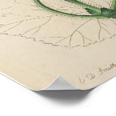 POSTER D'IMPRESSION EN GERANIUM BOTANIQUE vintage (Coin)