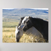 Poster d'impression en noir et blanc Wild Horse (Devant)