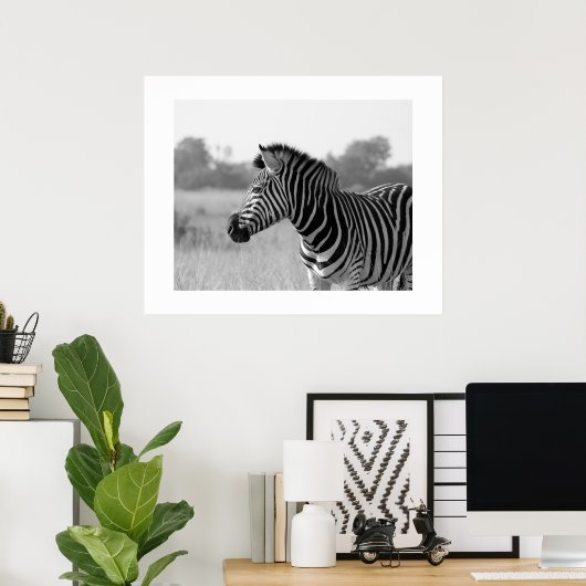 Poster d'impression en noir et blanc Zebra (Bureau à domicile)