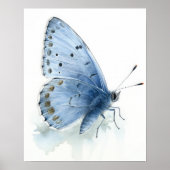 Poster d'impression Holly Blue Butterfly Art (Devant)