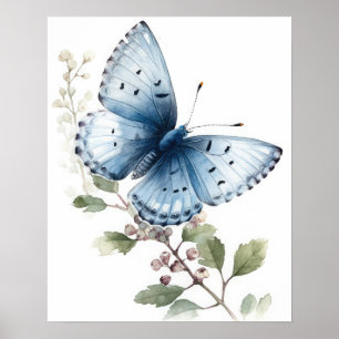 Poster d'impression Holly Blue Butterfly Art