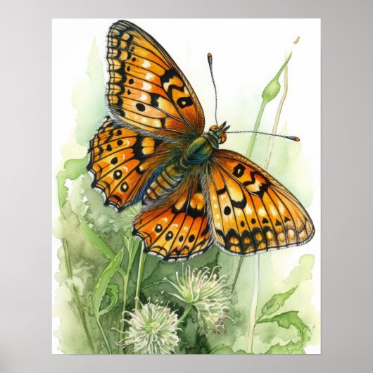 Poster d'impression Meadow Fritillen Papillon (Devant)