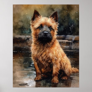 Poster d'impression Norwich Terrier Dog Art