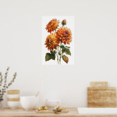 Poster d'impression Orange Dahlias (Cuisine)
