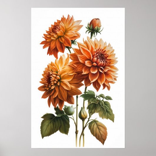 Poster d'impression Orange Dahlias (Devant)