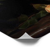 Poster d'impression Orange Rose (Coin)