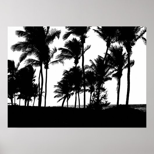 Poster d'impression Palms noirs (Devant)