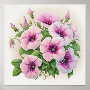Poster d'impression Pink Petunias