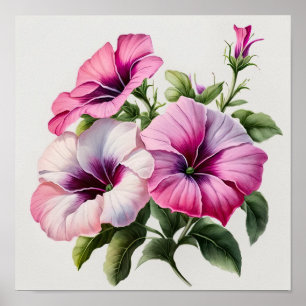 Poster d'impression Pink Petunias