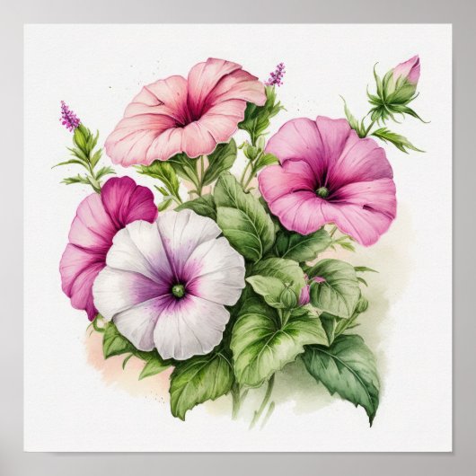 Poster d'impression Pink Petunias (Devant)