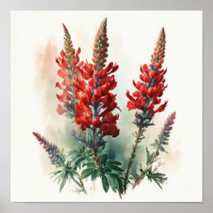 Poster d'impression Red Lupine Flower Art