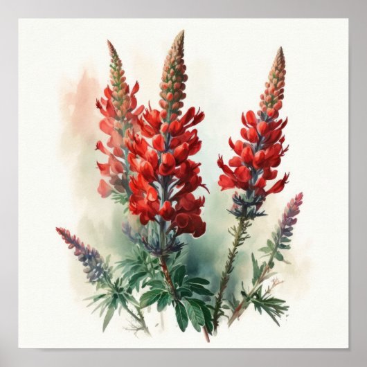 Poster d'impression Red Lupine Flower Art (Devant)