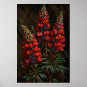 Poster d'impression Red Lupine Flower Art