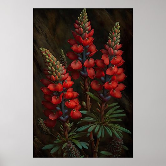 Poster d'impression Red Lupine Flower Art (Devant)