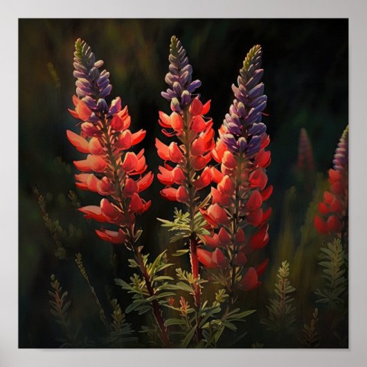 Poster d'impression Red Lupine Flower Art (Devant)