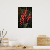 Poster d'impression Red Lupine Flower Art (Cuisine)