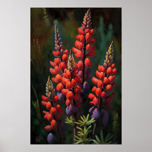 Poster d'impression Red Lupine Flower Art (Devant)