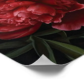 Poster d'impression Red Peonies (Coin)