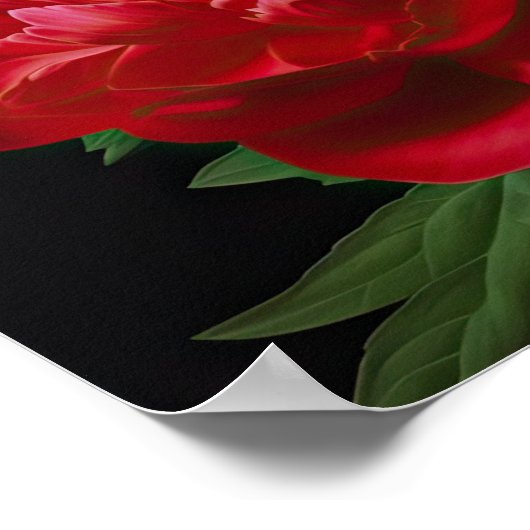 Poster d'impression Red Peonies (Coin)
