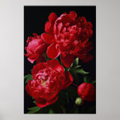 Poster d'impression Red Peonies (Devant)