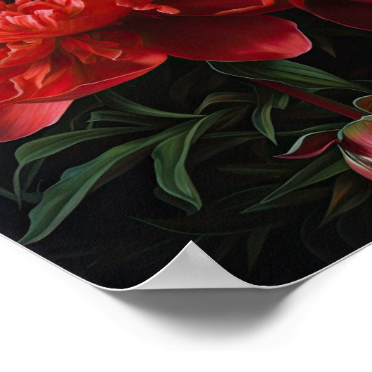Poster d'impression Red Peonies (Coin)