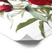 Poster d'impression Red Peonies (Coin)