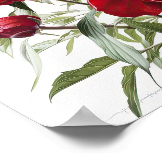 Poster d'impression Red Peonies (Coin)