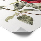 Poster d'impression Red Roses Flower Art (Coin)