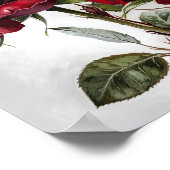 Poster d'impression Red Roses Flower Art (Coin)