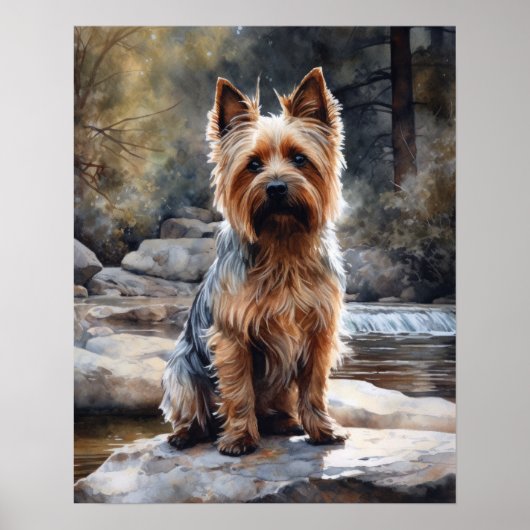 Poster d'impression Silky Terrier Dog Art (Devant)
