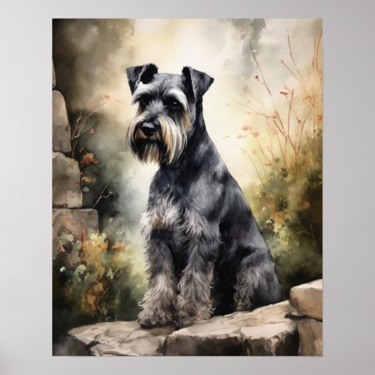 Poster d'impression Standard Schnauzer Dog Art (Devant)