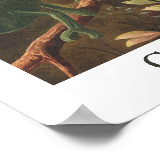 Poster d'impression Vintage Chameleon (Coin)