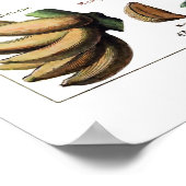 Poster d'impression vintage d'antiquité (Coin)