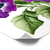 Poster d'impression violet Petunias (Coin)