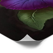 Poster d'impression violet Petunias (Coin)