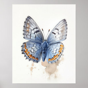 Poster d'impression Western Pygmy Butterfly Art