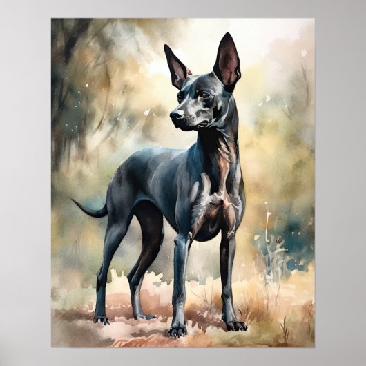 Poster d'impression Xoloitzcuintli Chien Art (Devant)