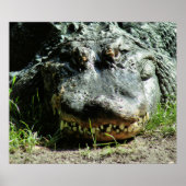 Poster Dinasaur (Devant)