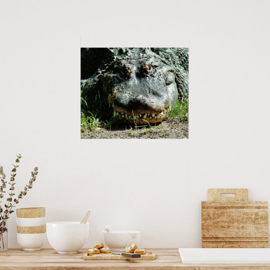 Poster Dinasaur (Cuisine)