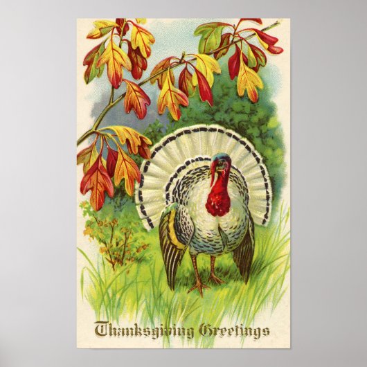 Poster Dinde de Thanksgiving vintage (Devant)